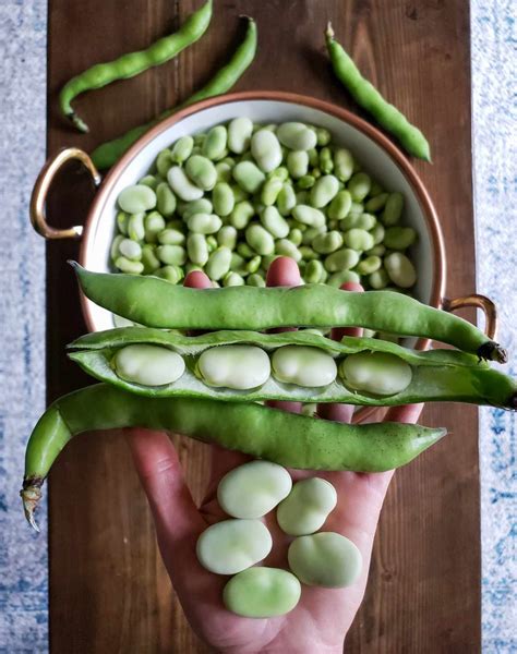 Fava beans near me. Things To Know About Fava beans near me. 